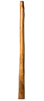 CrookedStixz Didgeridoo (AH404)